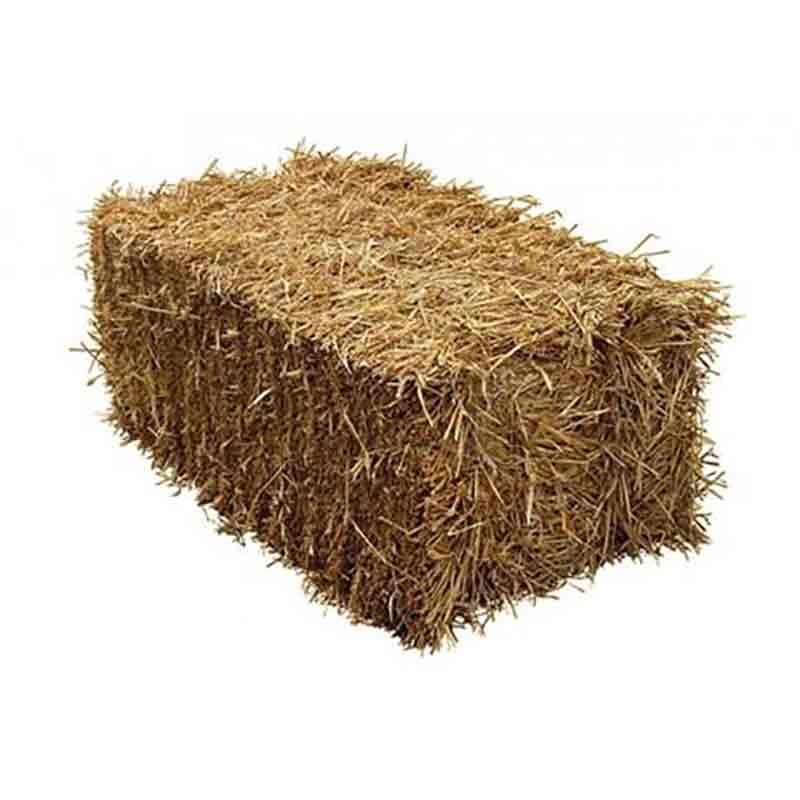 Square bale of hay for horses and live stock