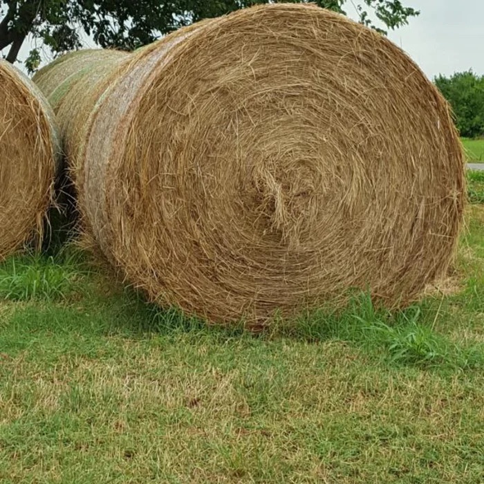 Round bale of hay for horses and live stock