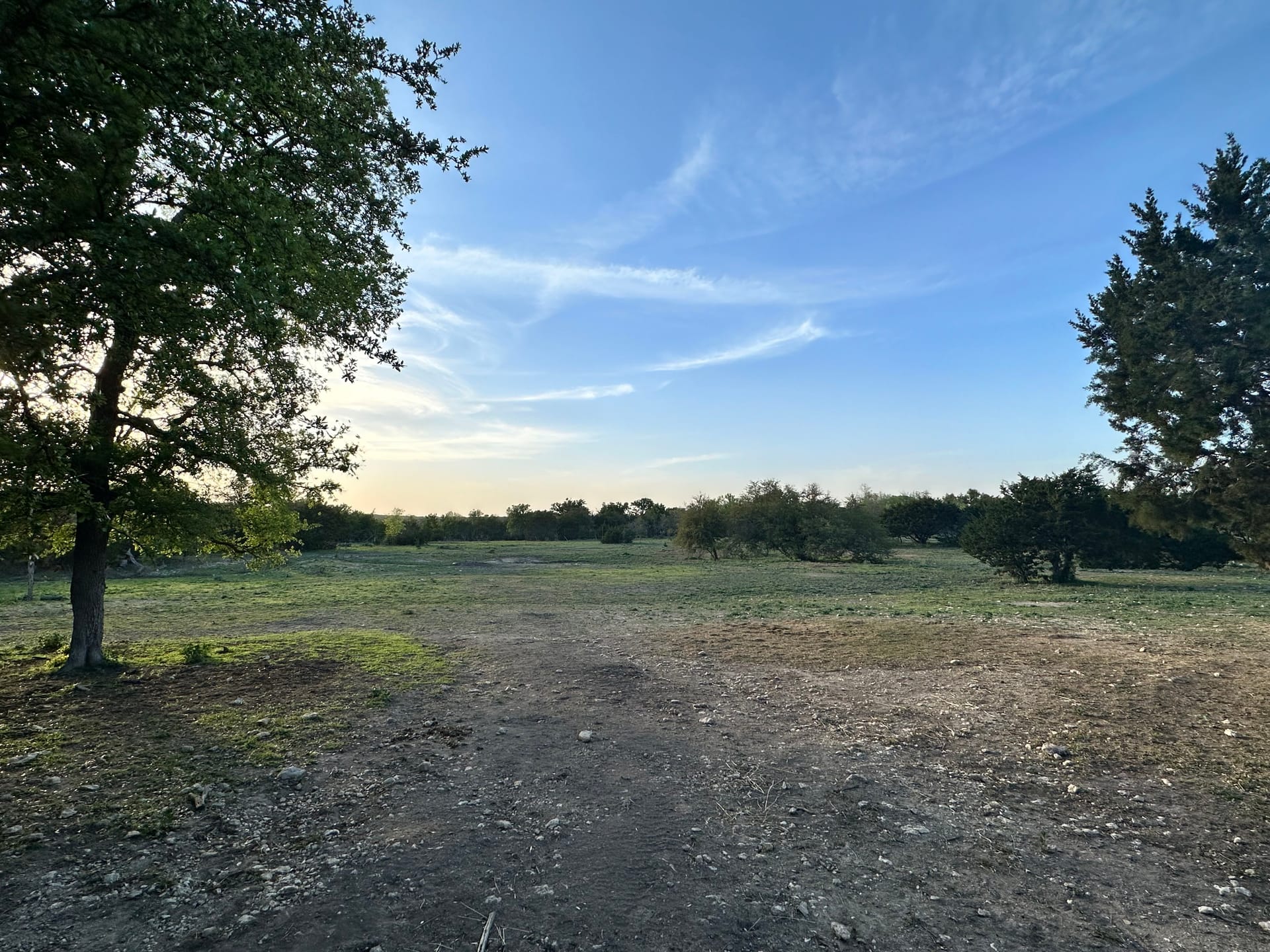 Expansive green pastures for horse turnout at JB Boarding